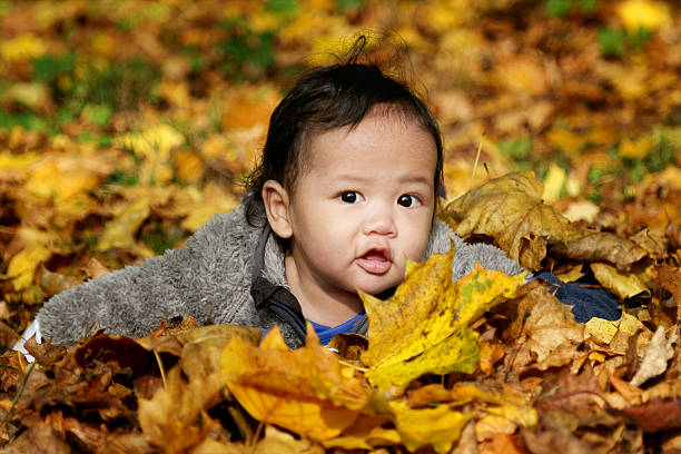 istock Baby Playing In The nature 523015395