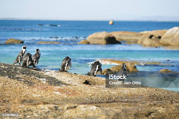 Penguins In Simons Town Südafrika Stockfoto und mehr Bilder von Afrika - Afrika, Atlantik, Berg