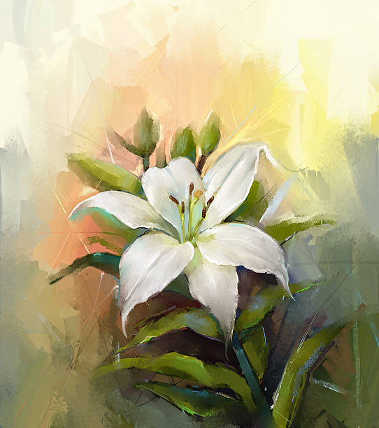 illustrazioni stock, clip art, cartoni animati e icone di tendenza di giglio bianco flower.flower pittura ad olio - lily white flower single flower