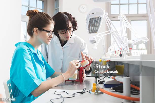 Young Woman Learning Prosthetic Dentistry Talking With Teacher Stock Photo - Download Image Now
