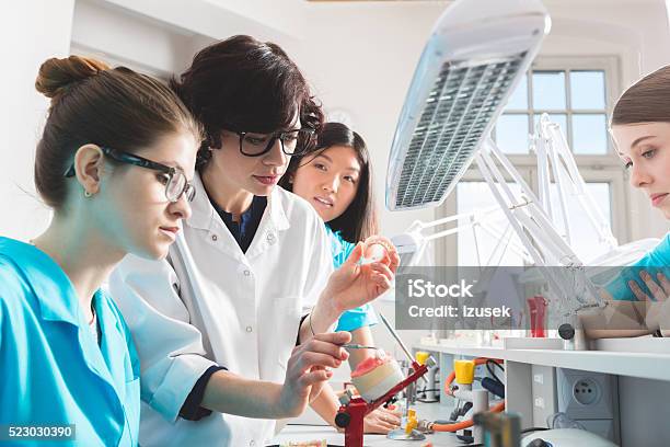 Female Students Learning Prosthetic Dentistry Talking With Teacher Stock Photo - Download Image Now