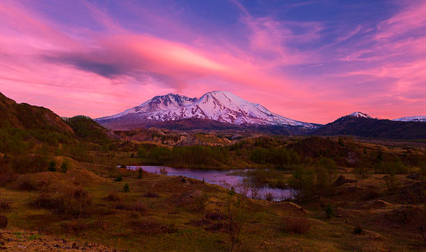 Mt St Helens at Sunset. Hummocks Trail in Mt St Helens NP offers a spectacular view of the mountain, it looks especially beautiful at sunset.  mount st helens stock pictures, royalty-free photos & images