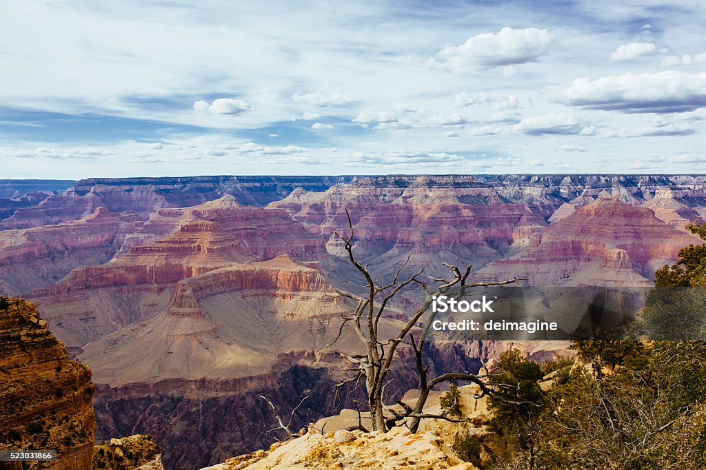 Grand Canyon view Arid Climate Stock Photo