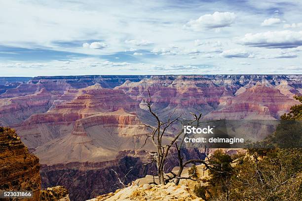 Grand Canyon View Stock Photo - Download Image Now - Arid Climate, Arizona, Arranging