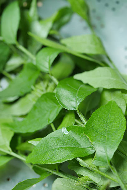 istock lime berry, asian herbal food ingredient 523032000