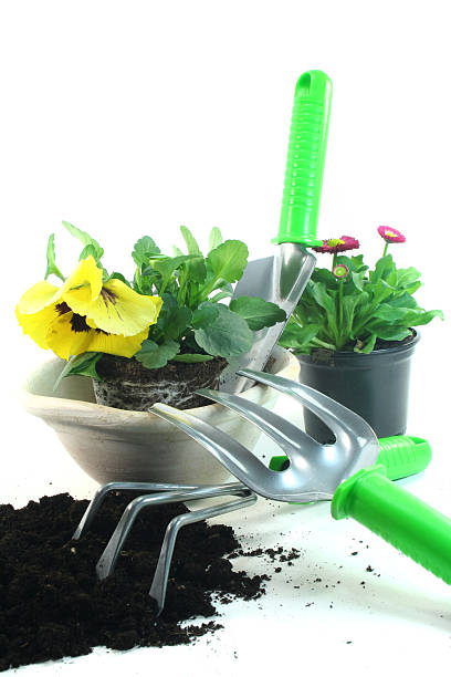 istock Gardening with spring flowers 523032895