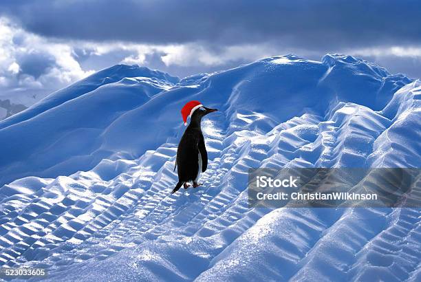 Penguin Wearing Red Santa Hat Stock Photo - Download Image Now - Dressing Up, Penguin, Animal Wildlife