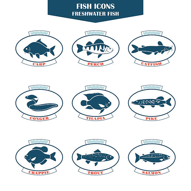 Fish icons in vector Fish icons. Can be used for restaurants, menu design, internet pages design, in the fishing industry, commercial crappie stock illustrations