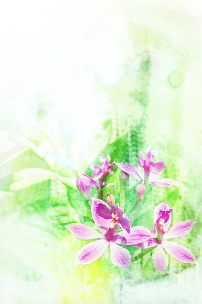 istock Flower watercolor illustration. 523035472