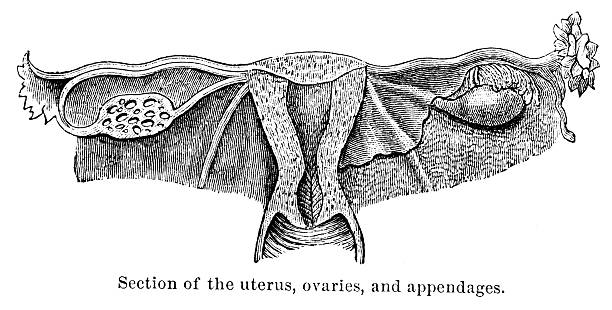 Engraving of \
