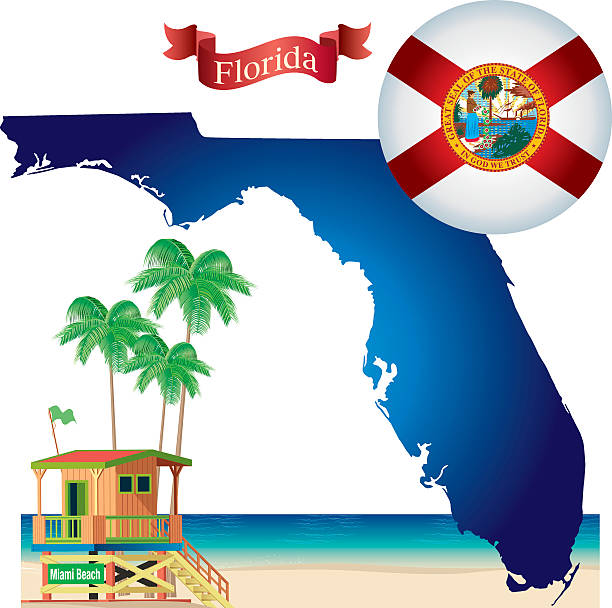 штат флорида - florida cartography map florida keys stock illustrations