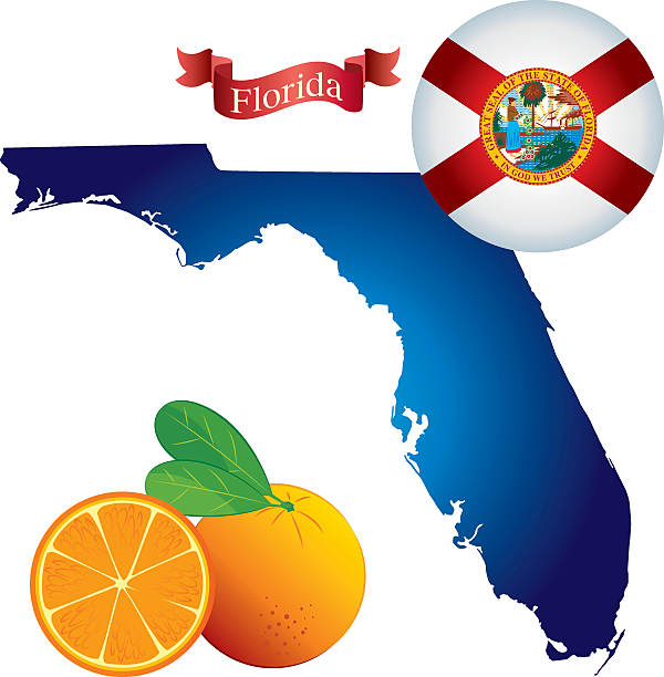 штат флорида - florida cartography map florida keys stock illustrations