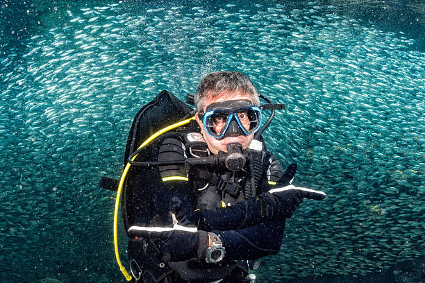 istock beautiful diver in fish and corals reef background 523036508