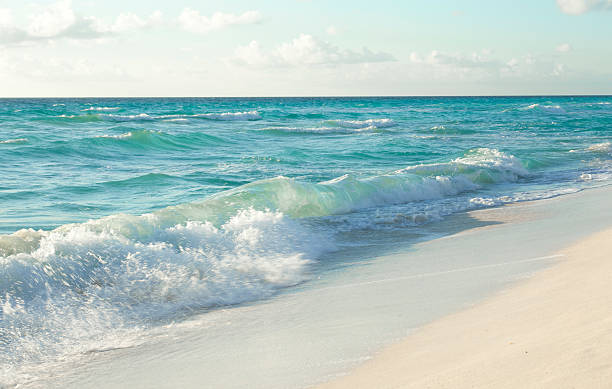 istock Caribbean Ocean Beach in Mexico 523038511
