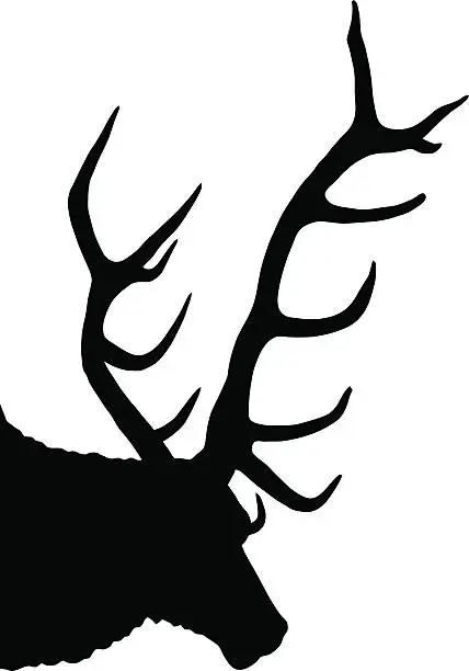 Vector illustration of stag silhouette