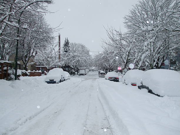 istock Snow in Vancouver, BC, Canada 523039228