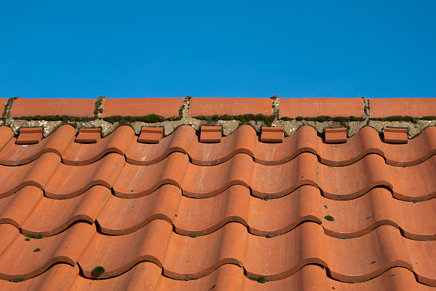 A roof tiled with Norfolk pantiles against a bright blue sky. A few patches of moss on the tiles indicate that it has been retiled fairly recently. Norfolk pantiles are a traditional type of roof tile in this East Anglian county.
