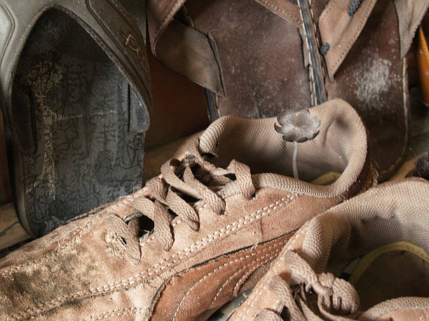 istock Mushrooms grown in sneakers 523043382