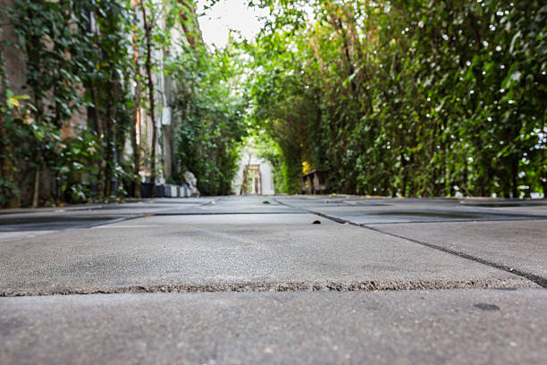 istock Tunnel pathway covered with green leaves 523043502