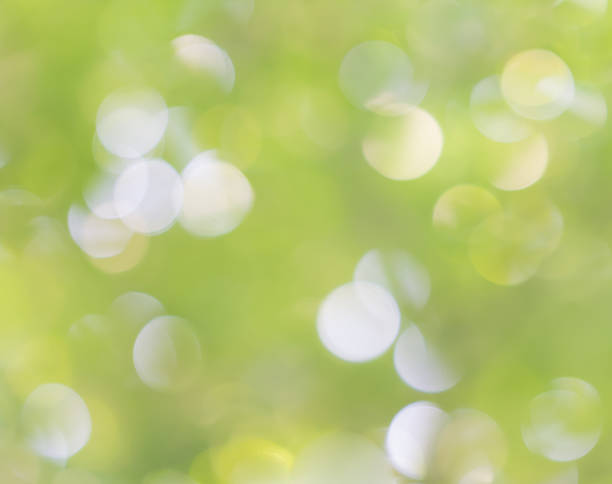 istock beautiful  blur natural forest leaf background in yellow and green 523047042