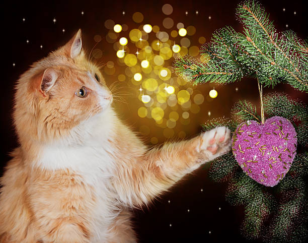 New Year decorations and winter knitted scarf. Festive home atmosphere with Christmas toys and shiny glitters.