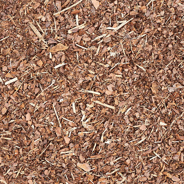 istock Wooden mulch ground fragment 523048666