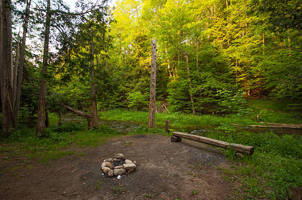 istock Campground with campfire and wooden bench 523049390