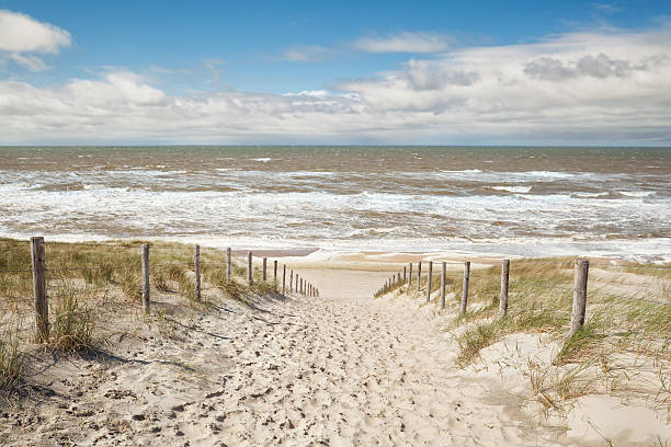 istock sand path to sea beach in sunny day 523052930
