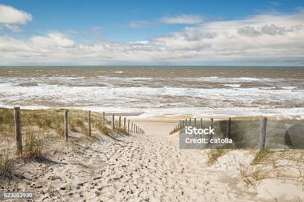Sand Path To Sea Beach In Sunny Day Stock Photo - Download Image Now - Beach, Blue, Cloud - Sky