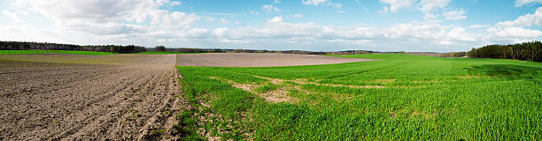 istock Panorama of sky clouds and grass on meadow 523054570