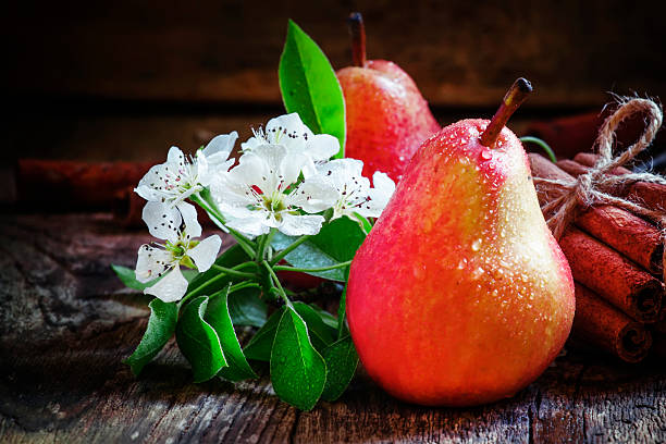 poire rouge, fleurs de poire, cannelle bâtons - food wood vibrant color close up photos et images de collection