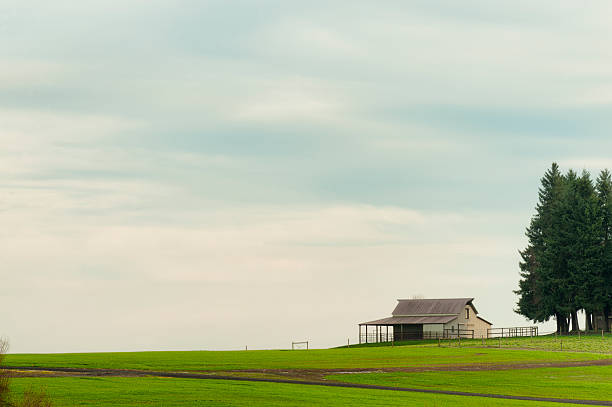 istock Copyspace of farm ground with barn and trees 523059418