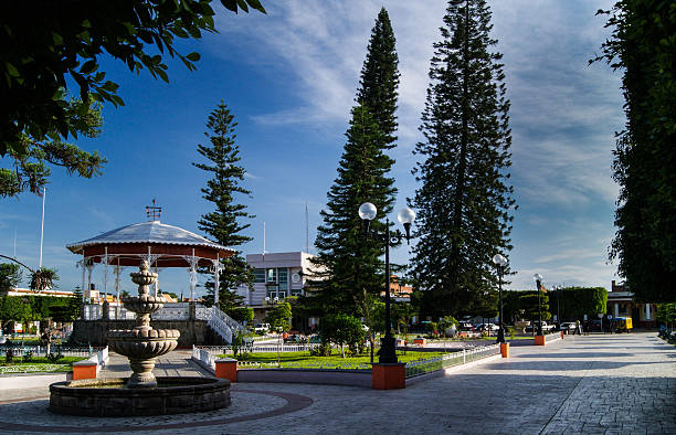 istock Tall trees in the plaza 523059878