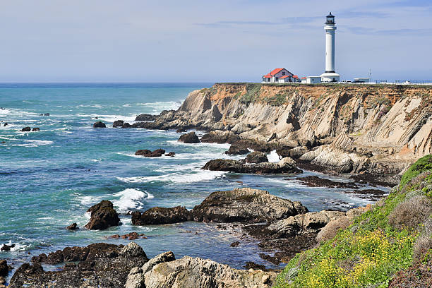 leuchtturm point arena, dem mendocino county, kalifornien - mendocino county northern california california coastline stock-fotos und bilder