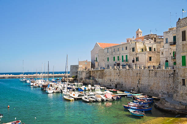 istock Panoramic view of Giovinazzo. Puglia. Italy. 523089647