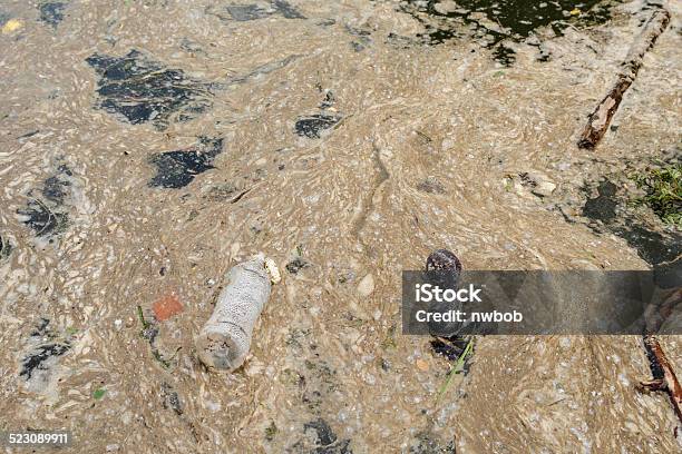 River Water Polution Stock Photo - Download Image Now - Accidents and Disasters, Blue, Bottle