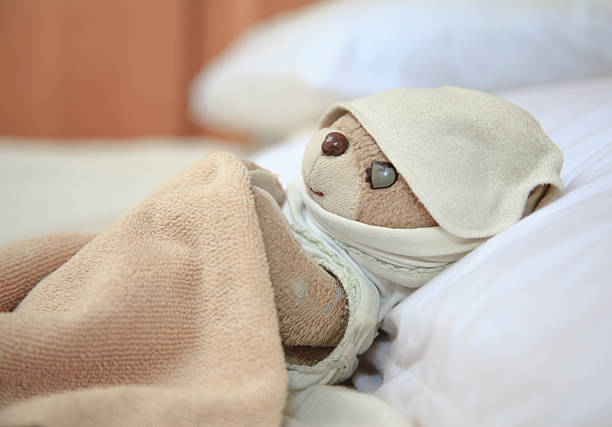 istock lovely little teddy bear 523092357
