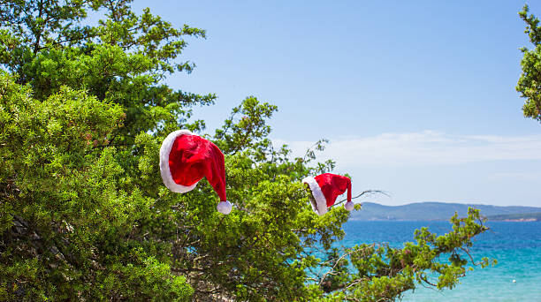 istock Santa hat on spruce bush background the turquoise sea 523092447