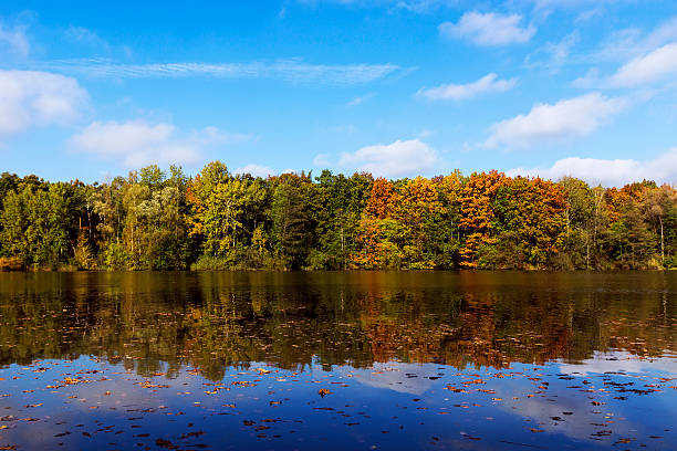 istock colorful trees by the lake in the fall 523092637