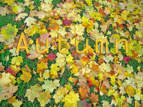 istock Autumn season 523110465