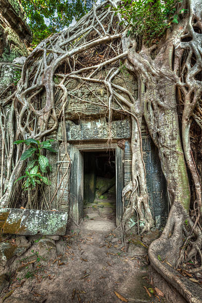 istock Ancient stone door and tree roots, Ta Prohm temple, Angkor 523112445