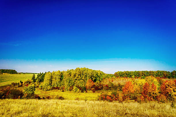 istock Wonderful golden autumn. 523112729