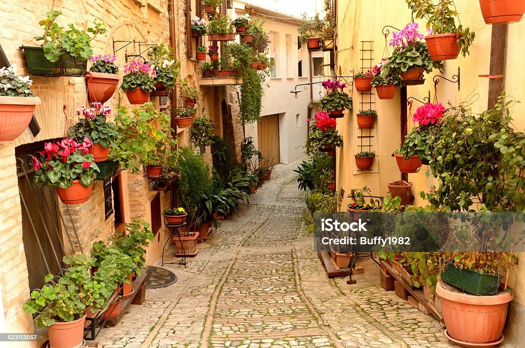 Flowers alley in Spello village Image of flowers alley in Spello village. Spello Stock Photo