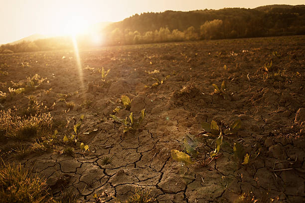 istock Cracked, parched land after a long dry season 523113091