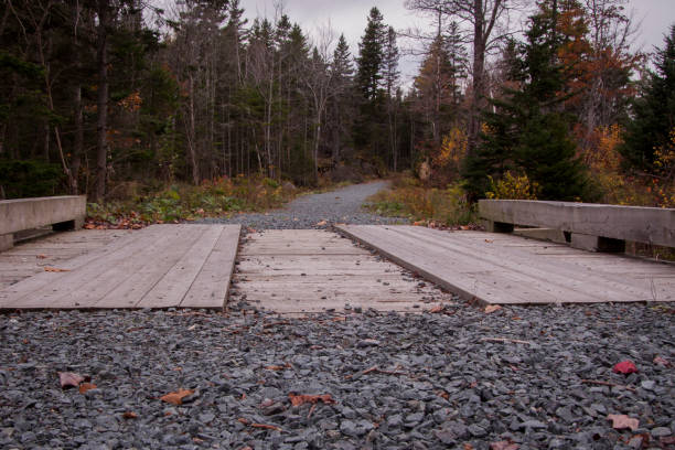 Wooden Car Bridge