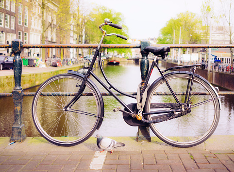 A pigeon wandering past a traditional bicycle locked to the railings of a canal bridge in central Amsterdam, Holland.