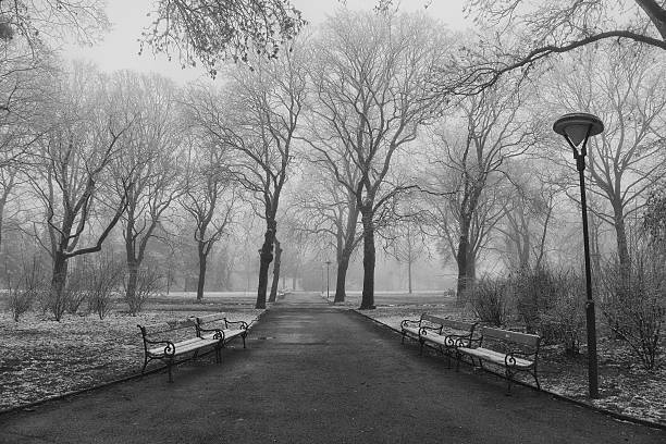 istock winter morning in the park 523131807