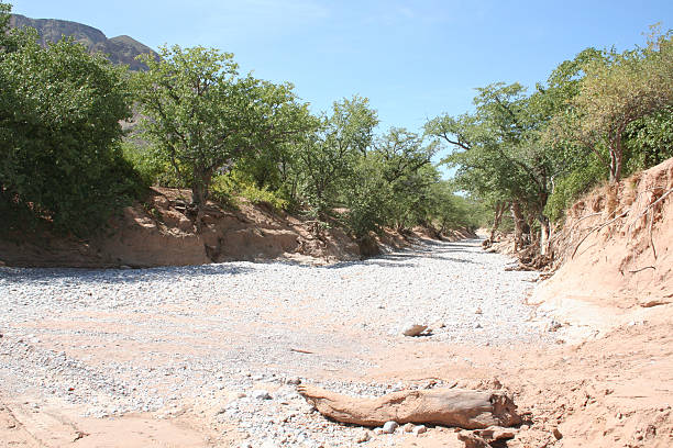 trockenes flussbett zwischen sesfontein und opuwo, namibia, südafrika - flussbett stock-fotos und bilder