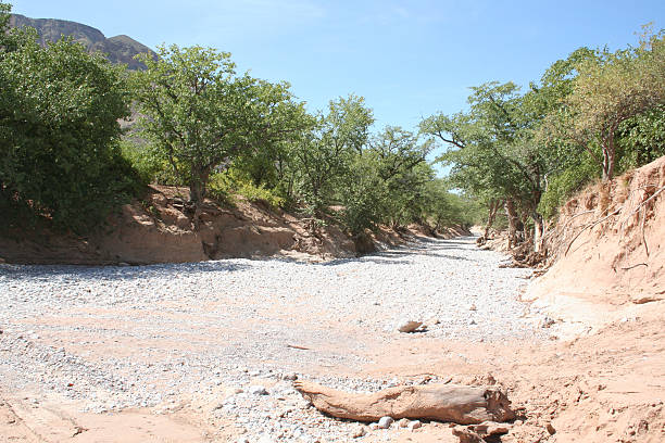ドライ川床 sesfontein オプヲ間、アフリカ、ナミビア - riverbed ストックフォトと画像
