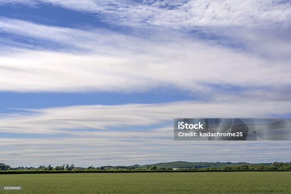 crops a view over a field  in a typical english farmland countryside landscape Agriculture Stock Photo